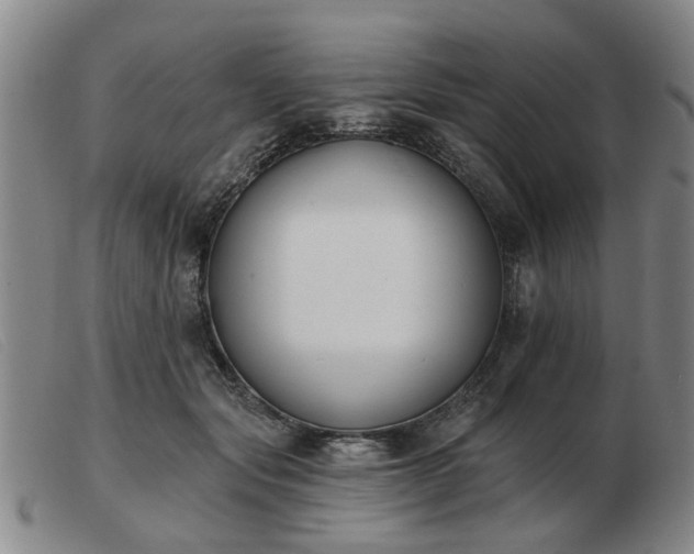 X0000103420557200809191640