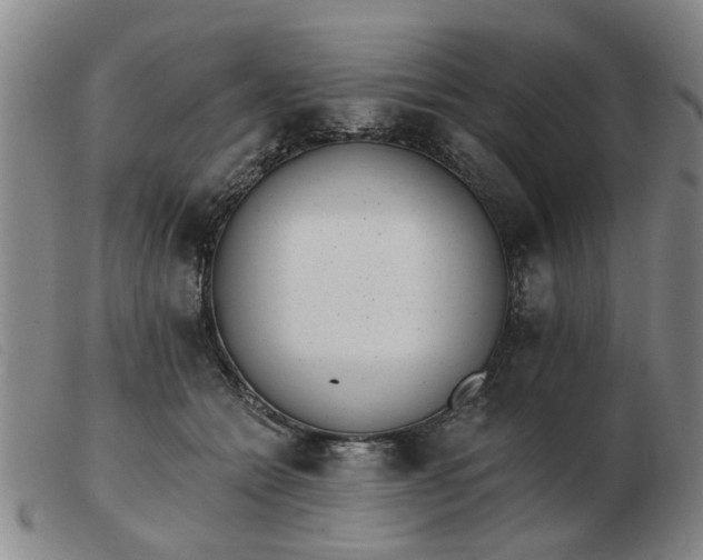X0000103420558200809191640