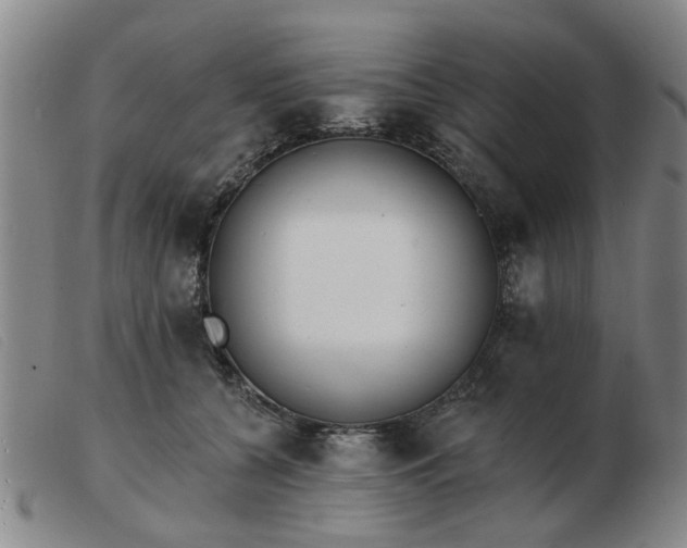 X0000103420560200809191640