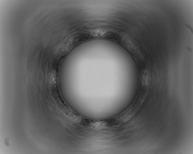 X0000103420561200809191640