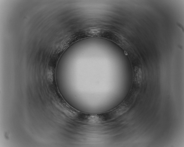X0000103420562200809191640