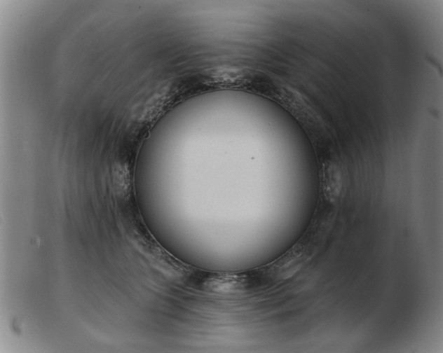 X0000103420563200809191640