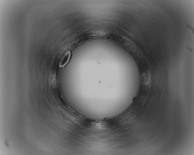 X0000103420564200809191640
