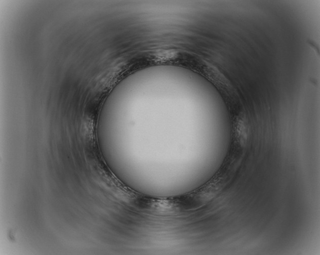 X0000103420565200809191640