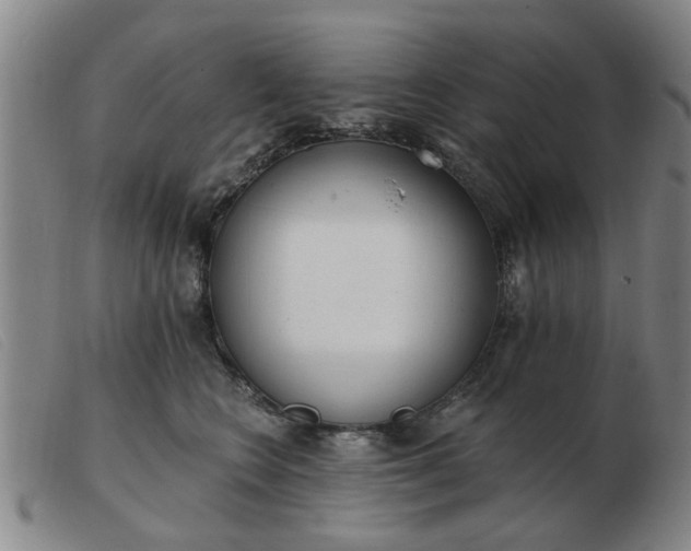 X0000103420566200809191640