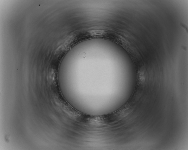 X0000103420567200809191640