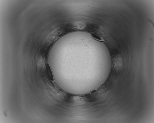 X0000103420568200809191640
