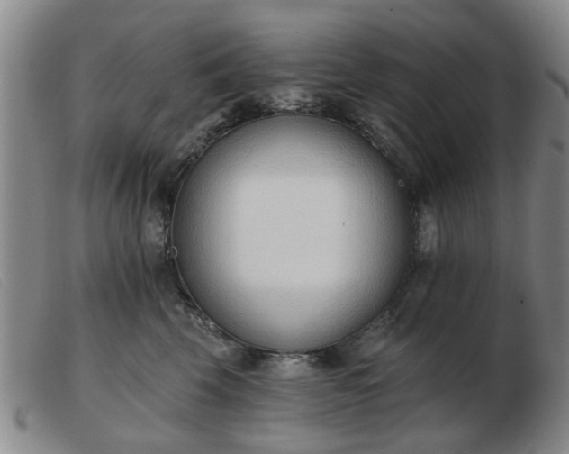 X0000103420569200809191640