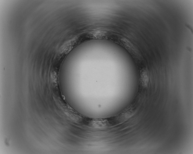 X0000103420571200809191640