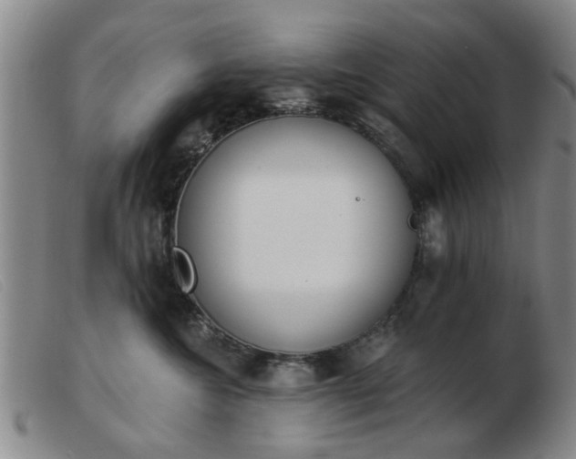X0000103420572200809191640