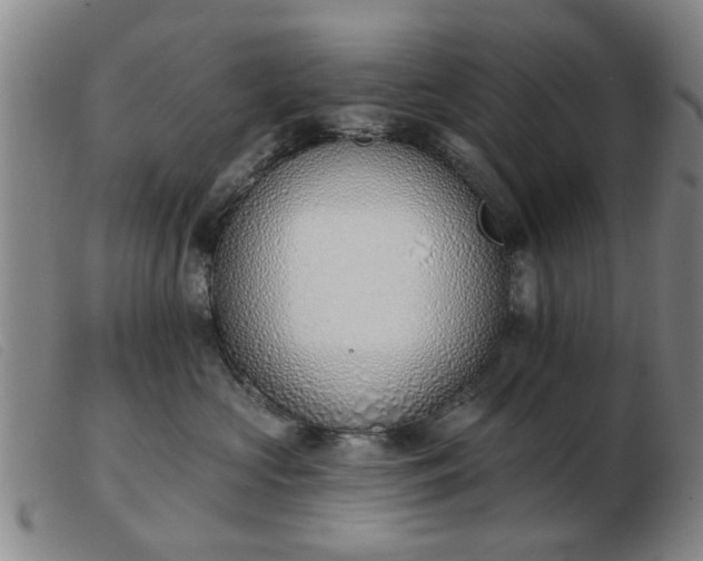 X0000103420573200809191640