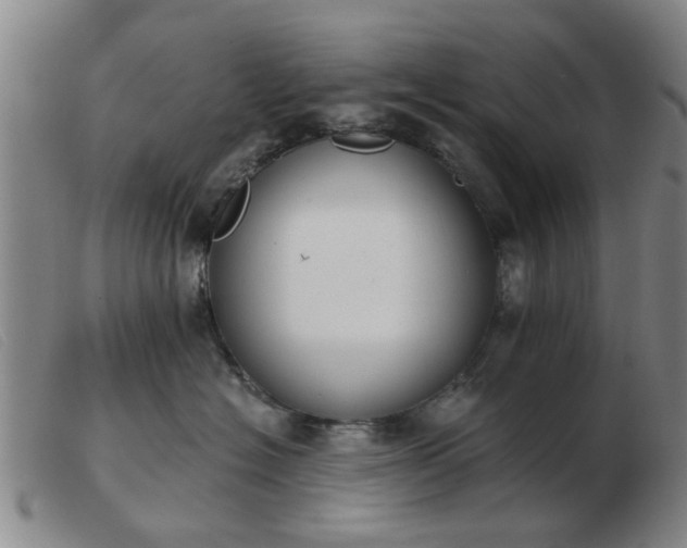 X0000103420574200809191640