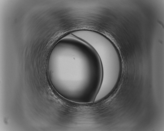 X0000103420577200809191640
