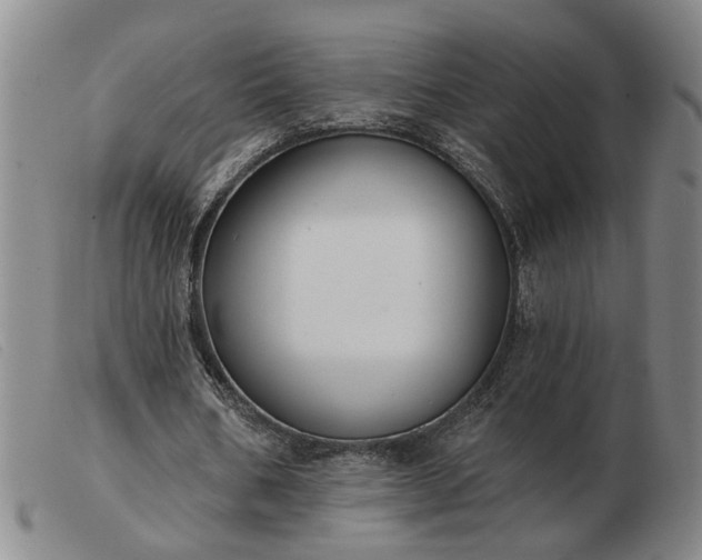 X0000103420578200809191640