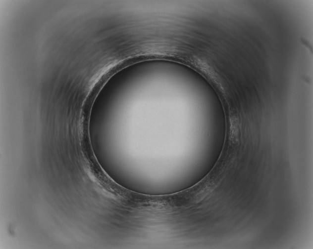 X0000103420580200809191640