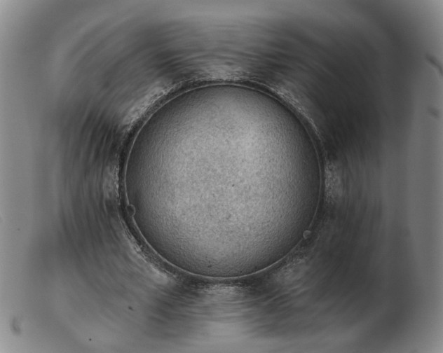 X0000103420581200809191640