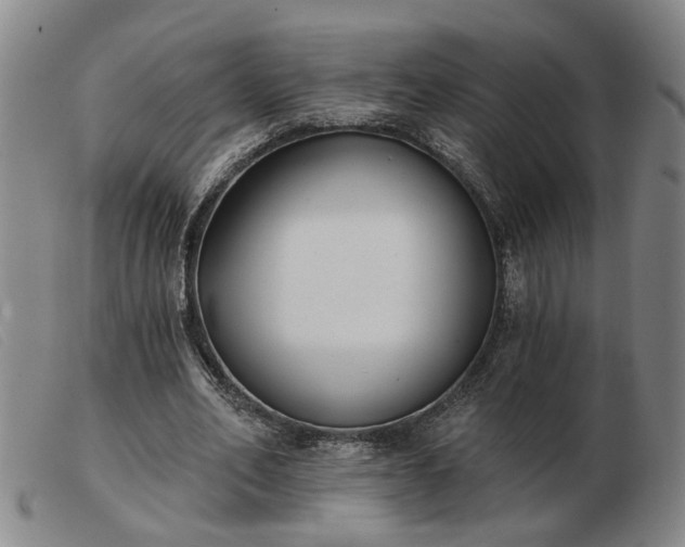 X0000103420582200809191639