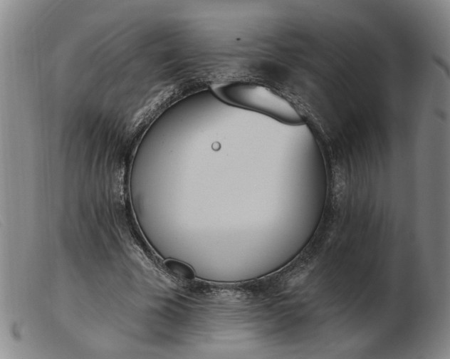 X0000103420585200809191639