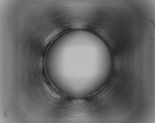 X0000103420586200809191639