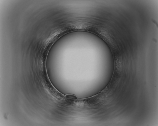 X0000103420587200809191639