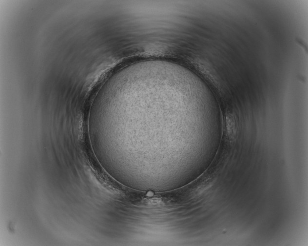 X0000103420588200809191639