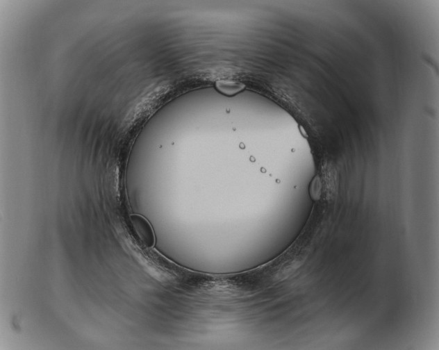 X0000103420589200809191639