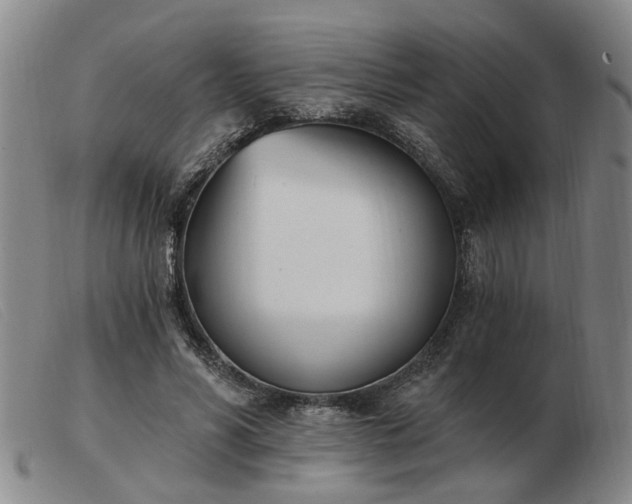X0000103420590200809191639