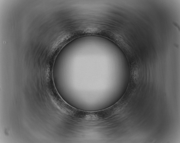 X0000103420591200809191639