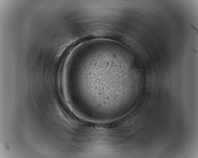 X0000103420592200809191639