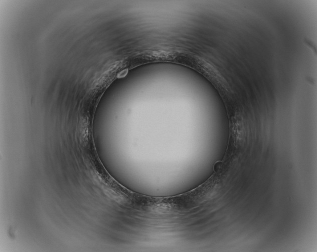 X0000103420593200809191639