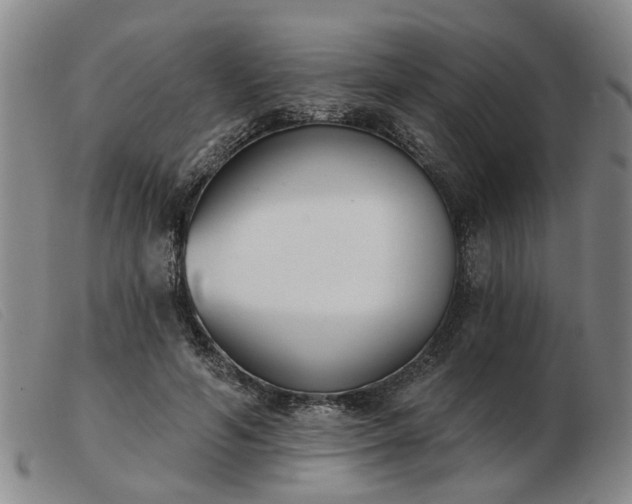 X0000103420594200809191639