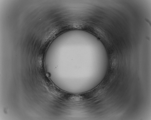 X0000103420595200809191639