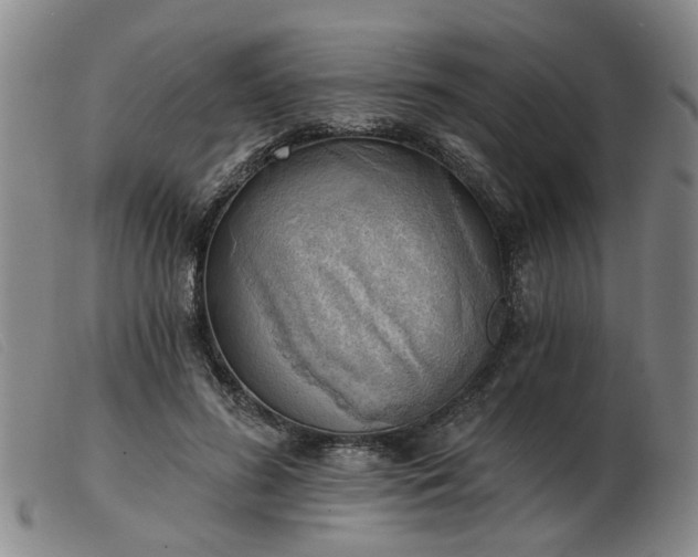 X0000103420596200809191639