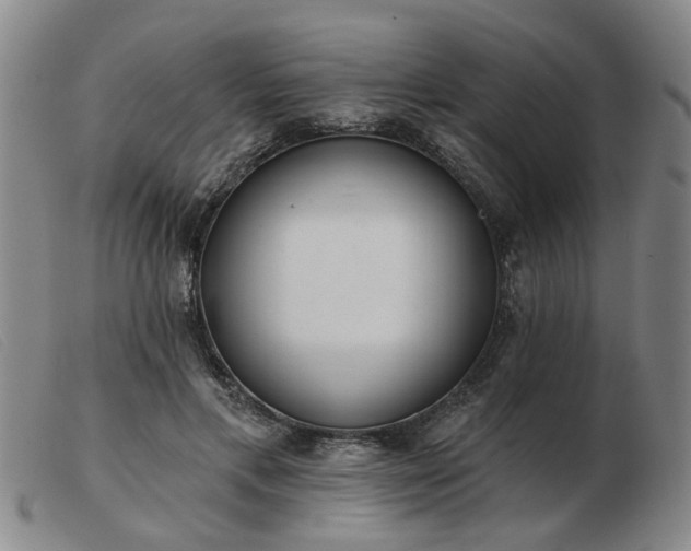 X0000103420597200809191639