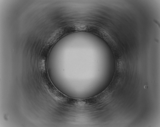 X0000103420598200809191639