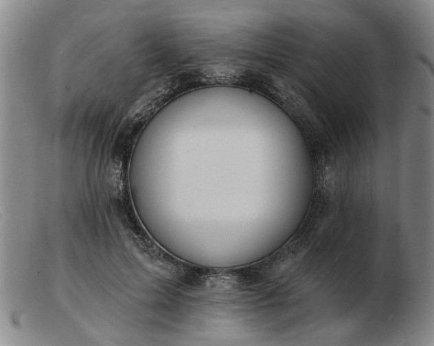 X0000103420599200809191639