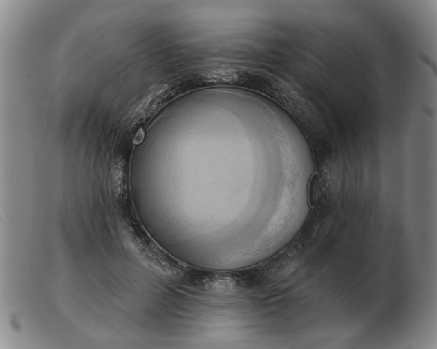 X0000103420600200809191639
