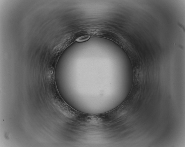 X0000103420601200809191639