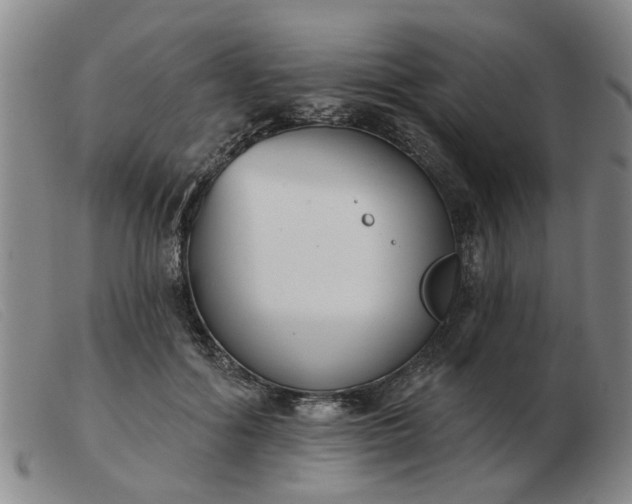 X0000103420602200809191639