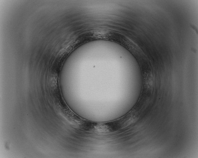 X0000103420603200809191639