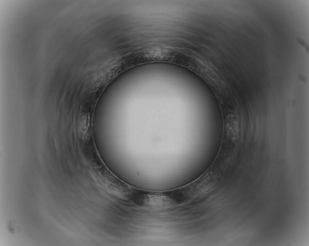 X0000103420605200809191639