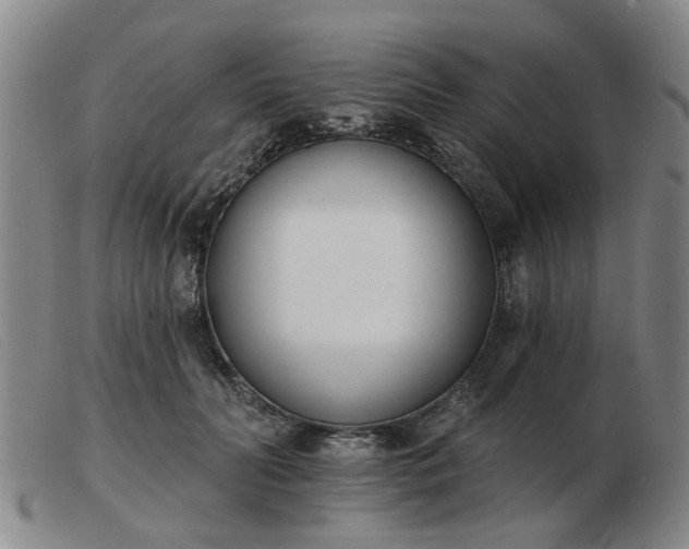 X0000103420606200809191639