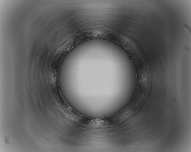 X0000103420607200809191639