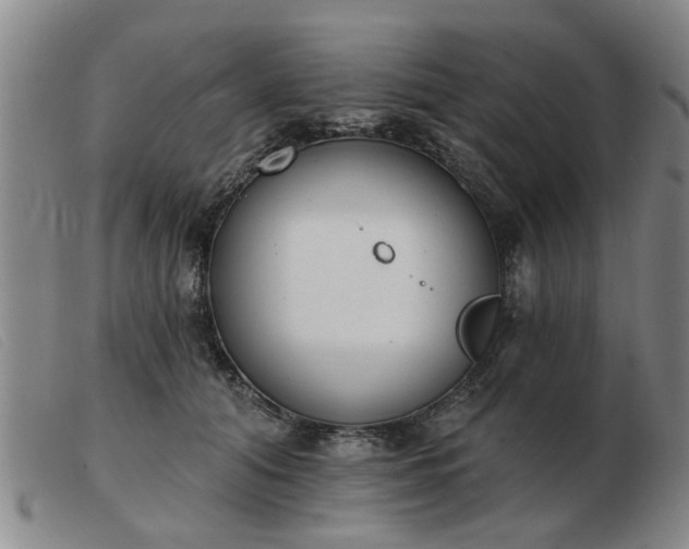 X0000103420608200809191639