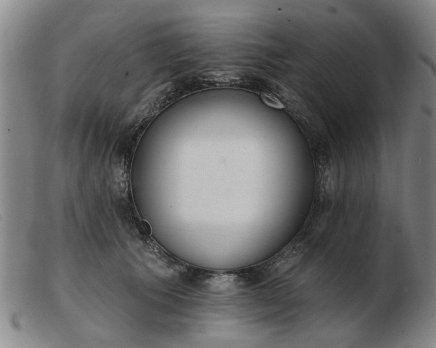 X0000103420609200809191639