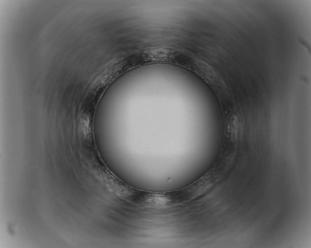 X0000103420610200809191639