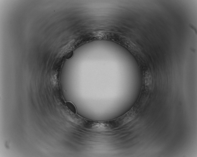 X0000103420611200809191639