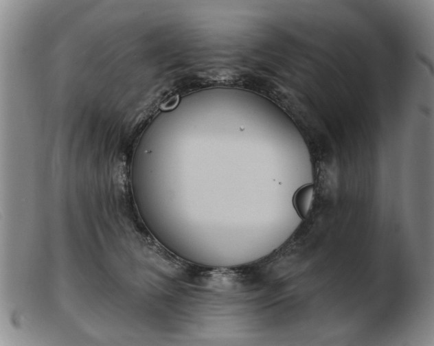 X0000103420612200809191639