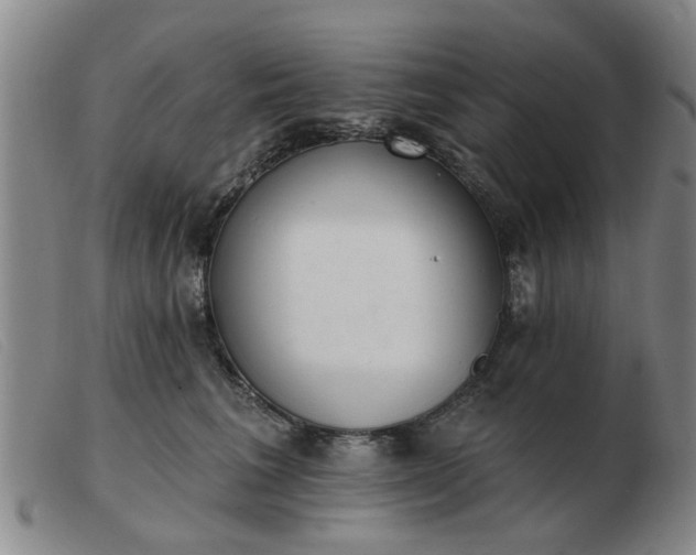 X0000103420613200809191639