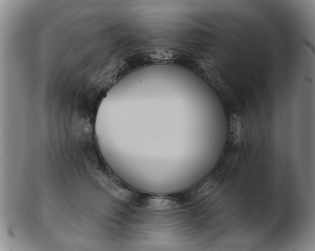 X0000103420614200809191639